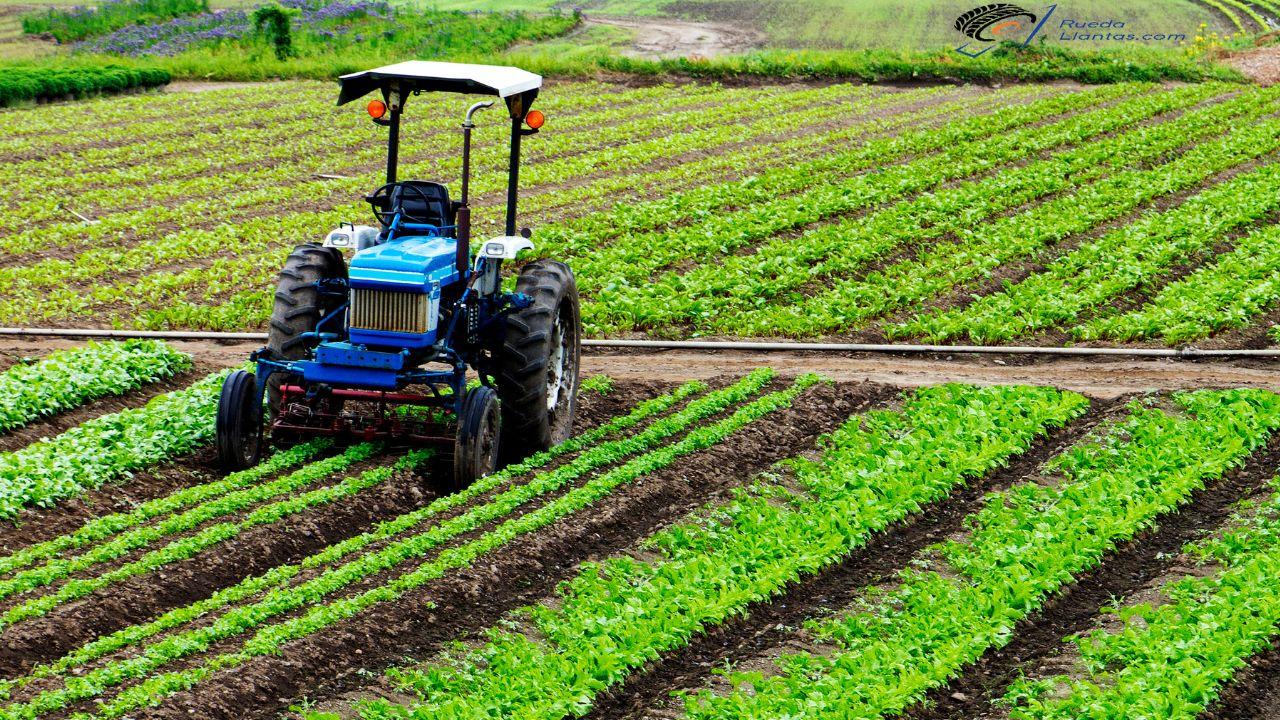 Cómo se clasifican las llantas para maquinaria agrícola